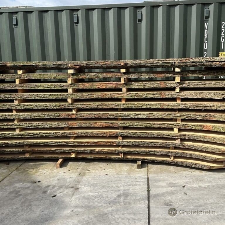 Nieuwe aanwinst: een eikenboom van meer dan een meter doorsnee